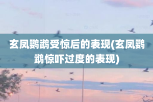 玄凤鹦鹉受惊后的表现(玄凤鹦鹉惊吓过度的表现)