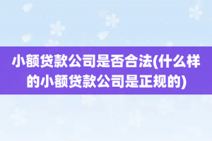 小额贷款公司是否合法(什么样的小额贷款公司是正规的)