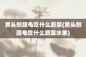 黄头侧颈龟吃什么蔬菜(黄头侧颈龟吃什么蔬菜水果)