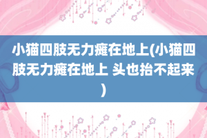 小猫四肢无力瘫在地上(小猫四肢无力瘫在地上 头也抬不起来)