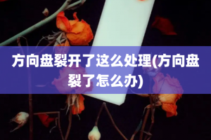 方向盘裂开了这么处理(方向盘裂了怎么办)