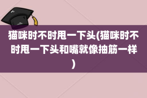 猫咪时不时甩一下头(猫咪时不时甩一下头和嘴就像抽筋一样)