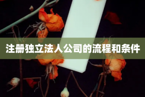 注册独立法人公司的流程和条件