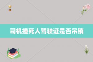司机撞死人驾驶证是否吊销