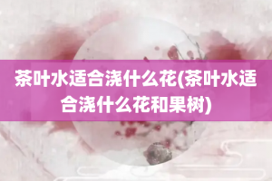 茶叶水适合浇什么花(茶叶水适合浇什么花和果树)