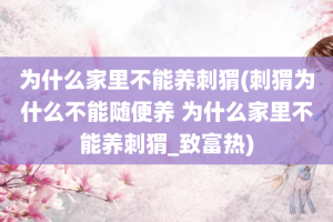 为什么家里不能养刺猬(刺猬为什么不能随便养 为什么家里不能养刺猬_致富热)