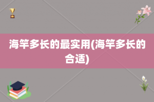 海竿多长的最实用(海竿多长的合适)