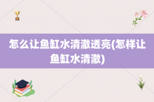 怎么让鱼缸水清澈透亮(怎样让鱼缸水清澈)