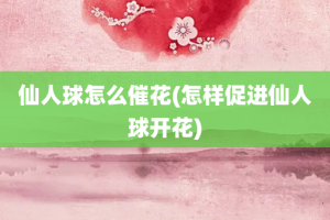 仙人球怎么催花(怎样促进仙人球开花)