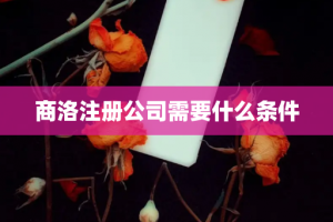 商洛注册公司需要什么条件