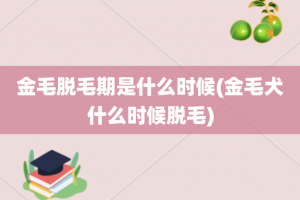 金毛脱毛期是什么时候(金毛犬什么时候脱毛)