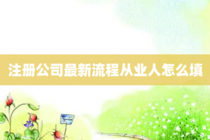 注册公司最新流程从业人怎么填