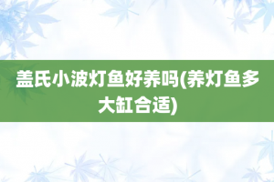 盖氏小波灯鱼好养吗(养灯鱼多大缸合适)