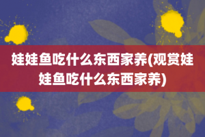 娃娃鱼吃什么东西家养(观赏娃娃鱼吃什么东西家养)