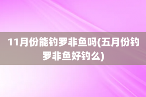 11月份能钓罗非鱼吗(五月份钓罗非鱼好钓么)