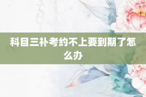 科目三补考约不上要到期了怎么办