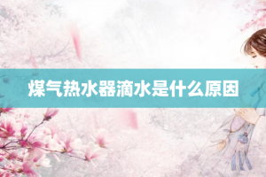 煤气热水器滴水是什么原因