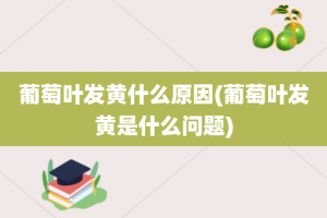 葡萄叶发黄什么原因(葡萄叶发黄是什么问题)