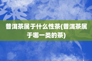普洱茶属于什么性茶(普洱茶属于哪一类的茶)