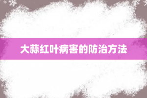 大蒜红叶病害的防治方法