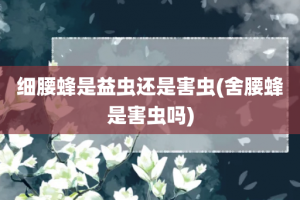 细腰蜂是益虫还是害虫(舍腰蜂是害虫吗)