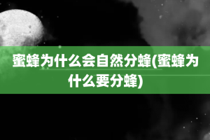 蜜蜂为什么会自然分蜂(蜜蜂为什么要分蜂)