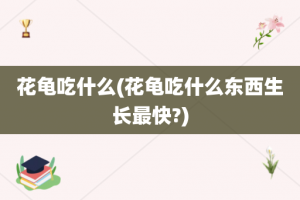 花龟吃什么(花龟吃什么东西生长最快?)