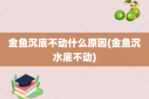 金鱼沉底不动什么原因(金鱼沉水底不动)