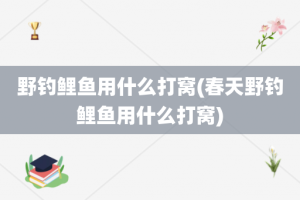 野钓鲤鱼用什么打窝(春天野钓鲤鱼用什么打窝)