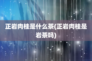 正岩肉桂是什么茶(正岩肉桂是岩茶吗)