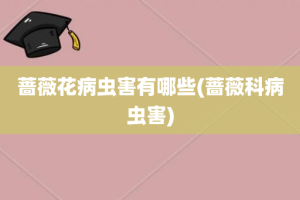 蔷薇花病虫害有哪些(蔷薇科病虫害)