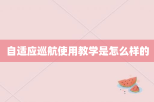 自适应巡航使用教学是怎么样的
