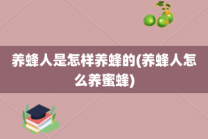 养蜂人是怎样养蜂的(养蜂人怎么养蜜蜂)