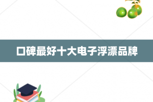 口碑最好十大电子浮漂品牌