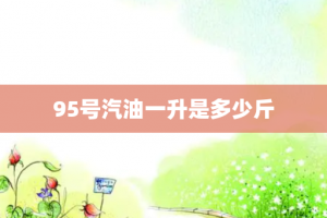 95号汽油一升是多少斤