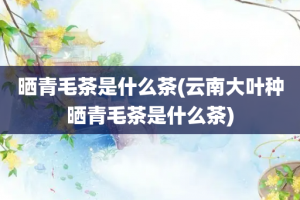 晒青毛茶是什么茶(云南大叶种晒青毛茶是什么茶)