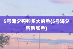 5号海夕钩钓多大的鱼(5号海夕钩钓鲫鱼)