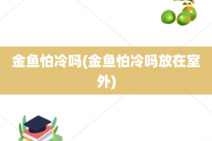 金鱼怕冷吗(金鱼怕冷吗放在室外)