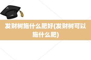 发财树施什么肥好(发财树可以施什么肥)