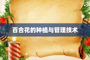 百合花的种植与管理技术