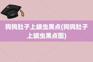 狗狗肚子上螨虫黑点(狗狗肚子上螨虫黑点图)