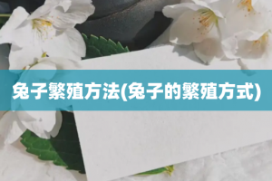 兔子繁殖方法(兔子的繁殖方式)