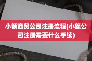 小额商贸公司注册流程(小额公司注册需要什么手续)