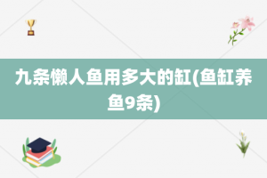 九条懒人鱼用多大的缸(鱼缸养鱼9条)