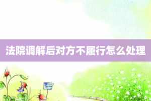 法院调解后对方不履行怎么处理