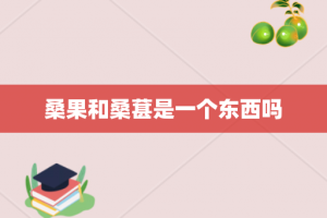 桑果和桑葚是一个东西吗