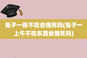 兔子一夜不吃会饿死吗(兔子一上午不吃东西会饿死吗)