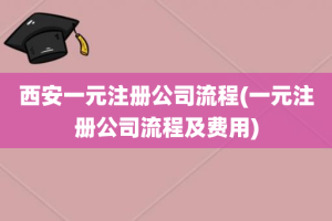 西安一元注册公司流程(一元注册公司流程及费用)