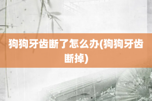 狗狗牙齿断了怎么办(狗狗牙齿断掉)