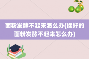 面粉发酵不起来怎么办(揉好的面粉发酵不起来怎么办)